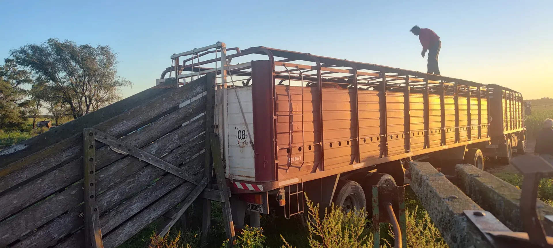 Camión jaula estacionado en el campo al atardecer